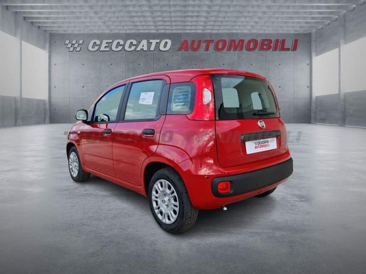 Fiat Fiat Panda usata 22