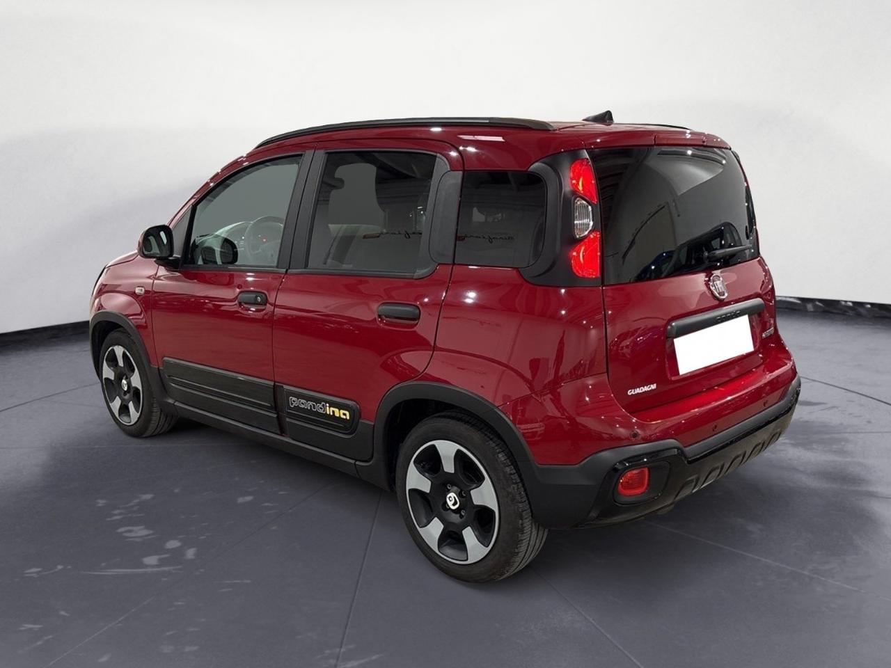 Fiat Fiat Panda usata 19