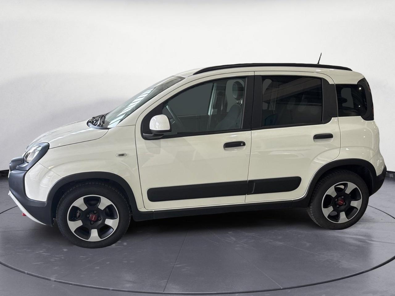 Fiat Fiat Panda usata 11