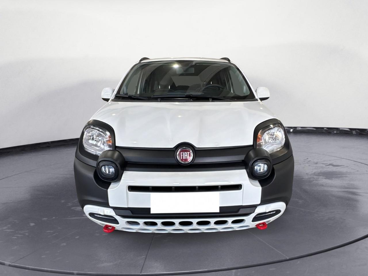 Fiat Fiat Panda usata 20