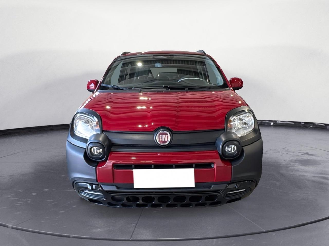 Fiat Fiat Panda usata 20