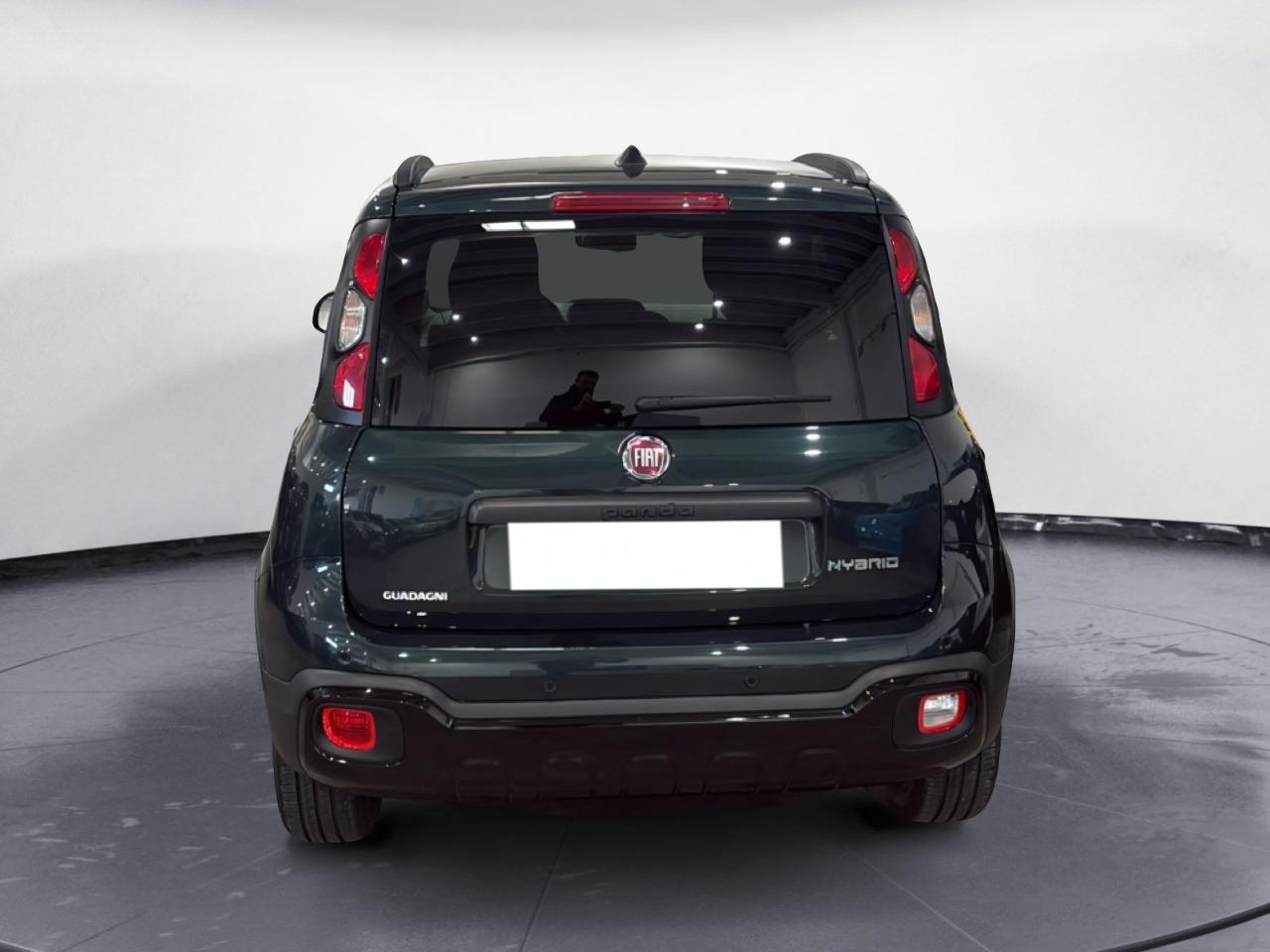 Fiat Fiat Panda usata 18