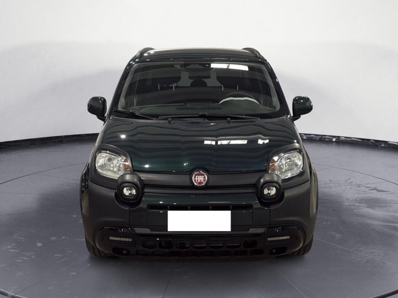 Fiat Fiat Panda usata 19