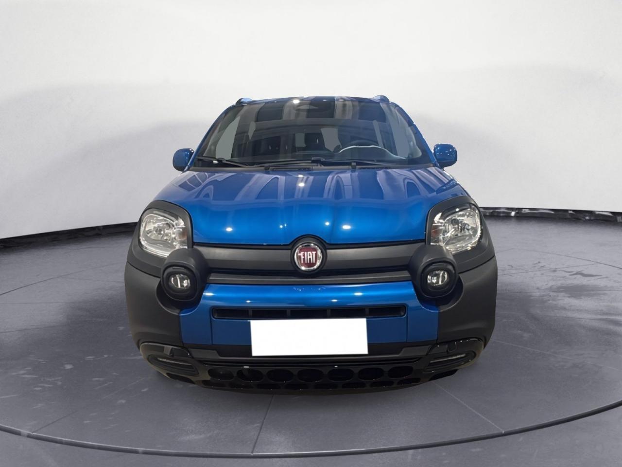 Fiat Fiat Panda usata 18