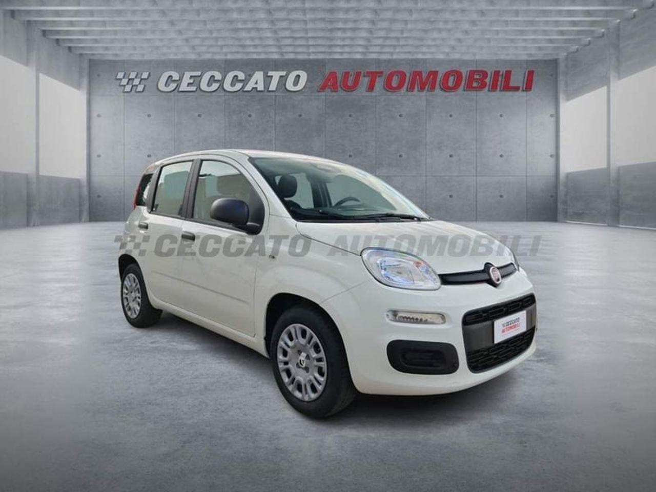 Fiat Fiat Panda usata 7