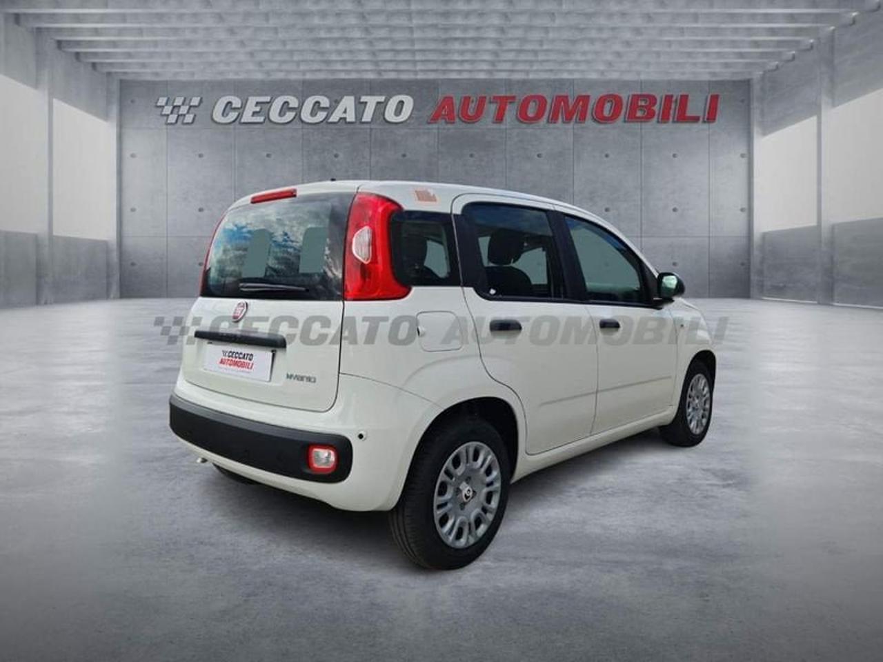 Fiat Fiat Panda usata 8