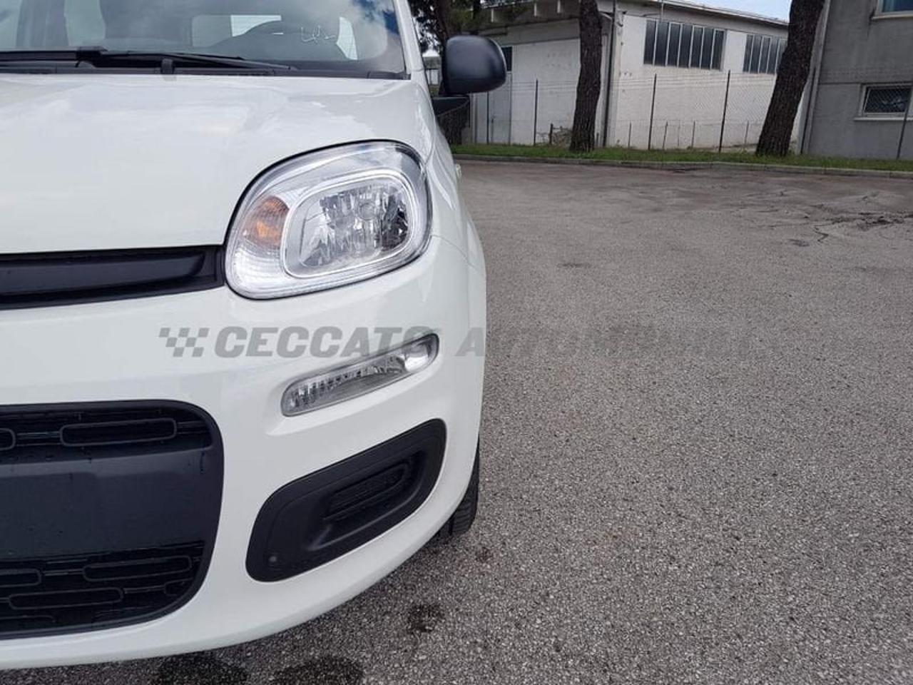 Fiat Fiat Panda usata 9