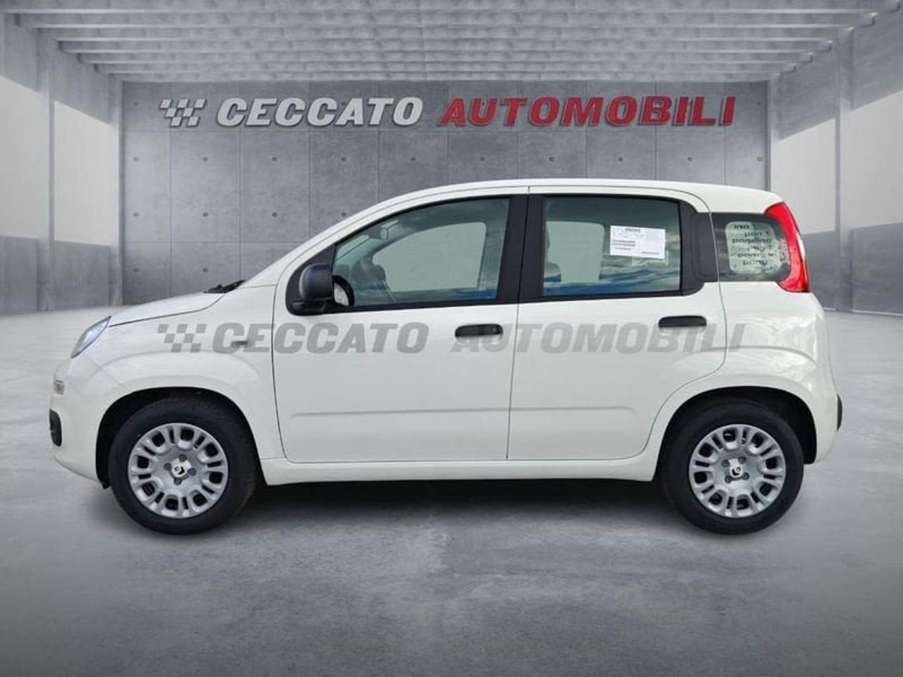 Fiat Fiat Panda usata 11