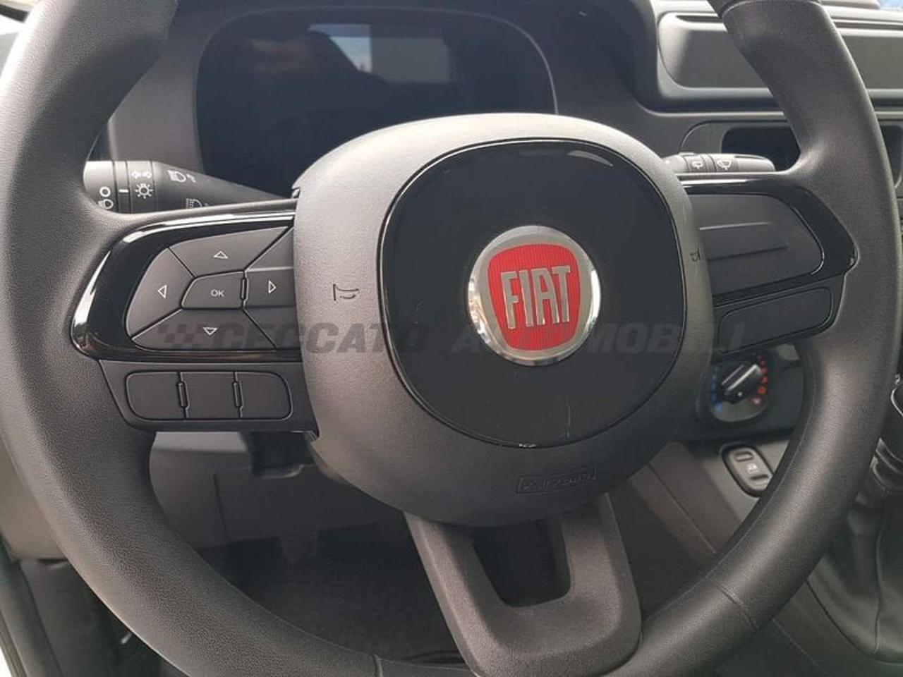 Fiat Fiat Panda usata 14
