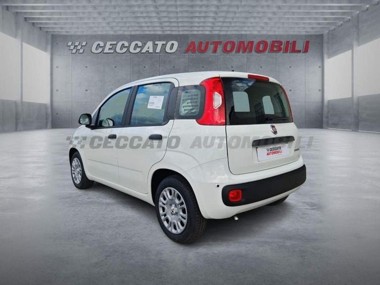 Fiat Fiat Panda usata 16