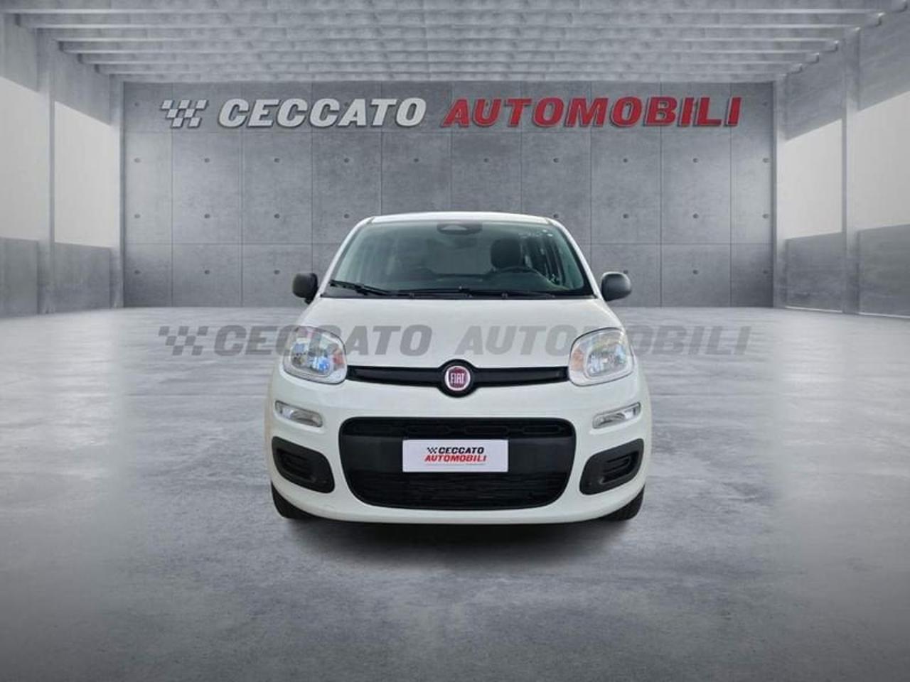 Fiat Fiat Panda usata 17