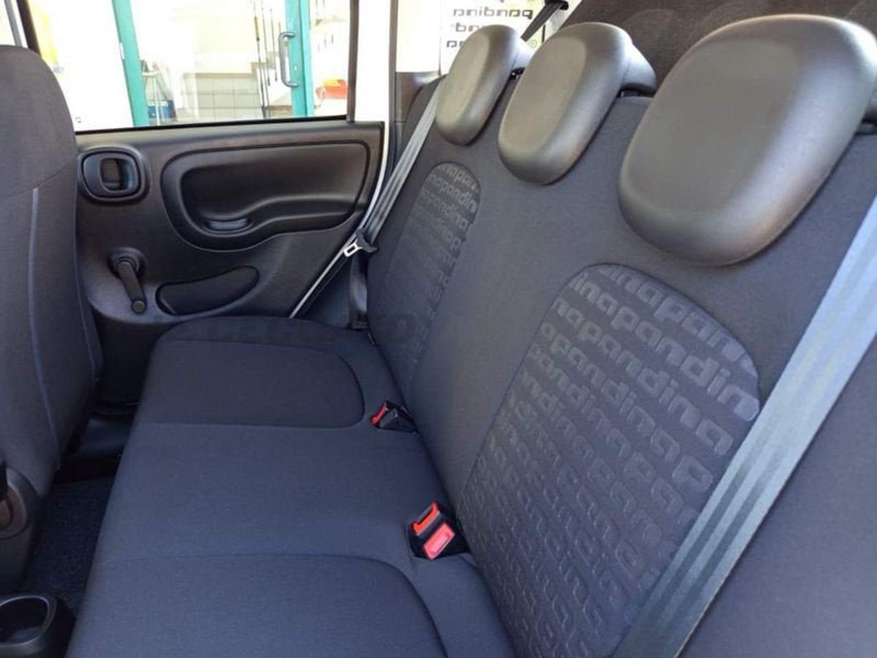 Fiat Fiat Panda usata 5