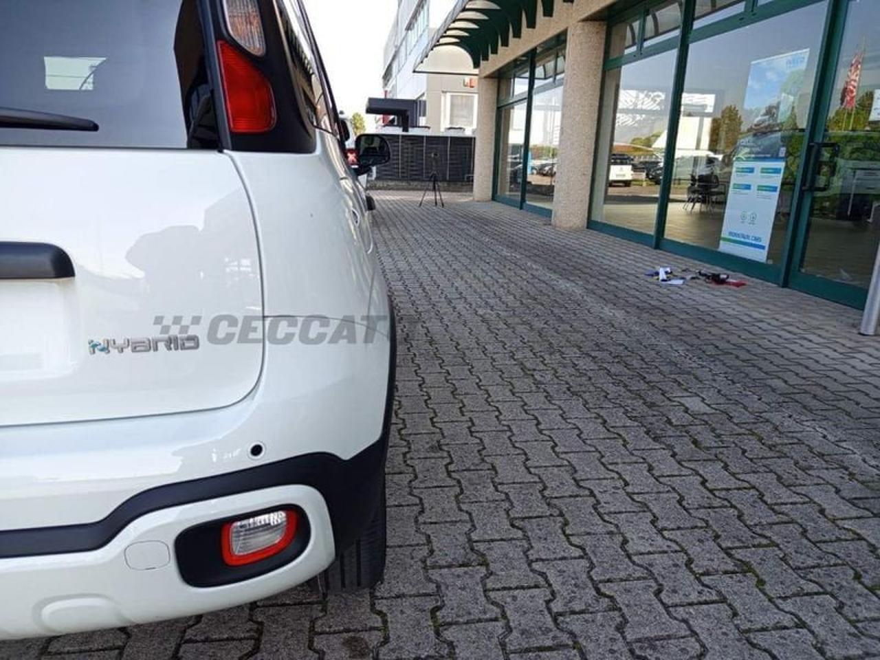 Fiat Fiat Panda usata 10