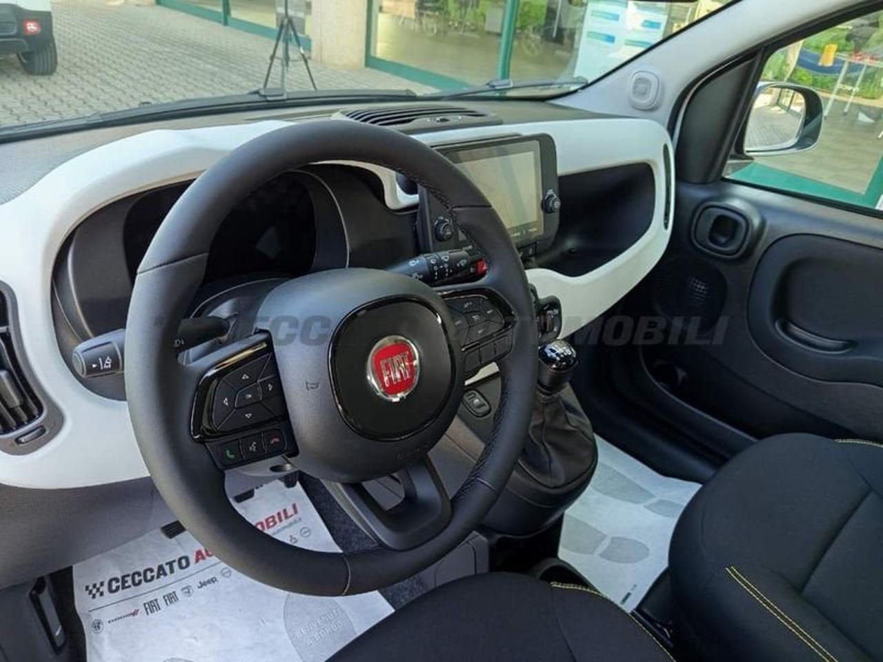 Fiat Fiat Panda usata 12