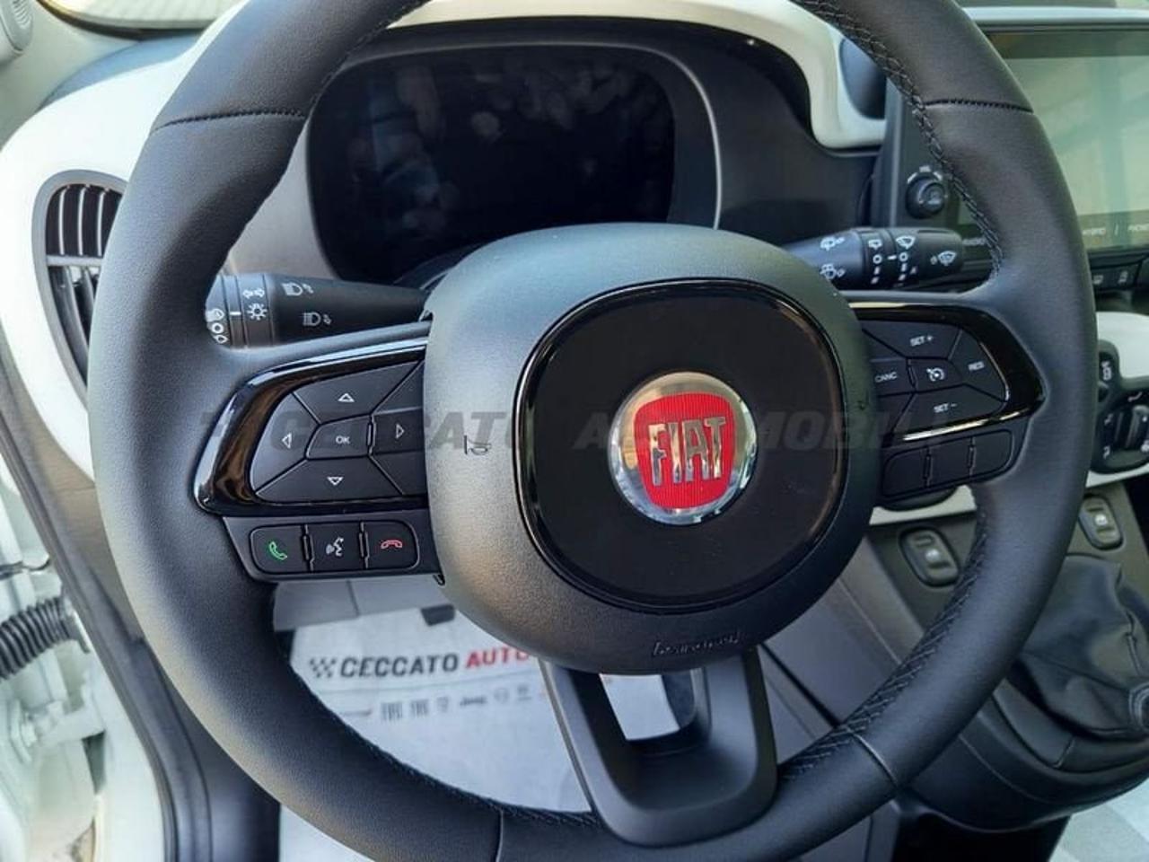 Fiat Fiat Panda usata 14