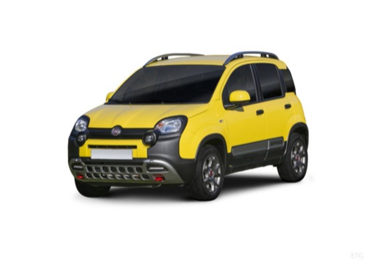 Fiat Fiat Panda usata 16