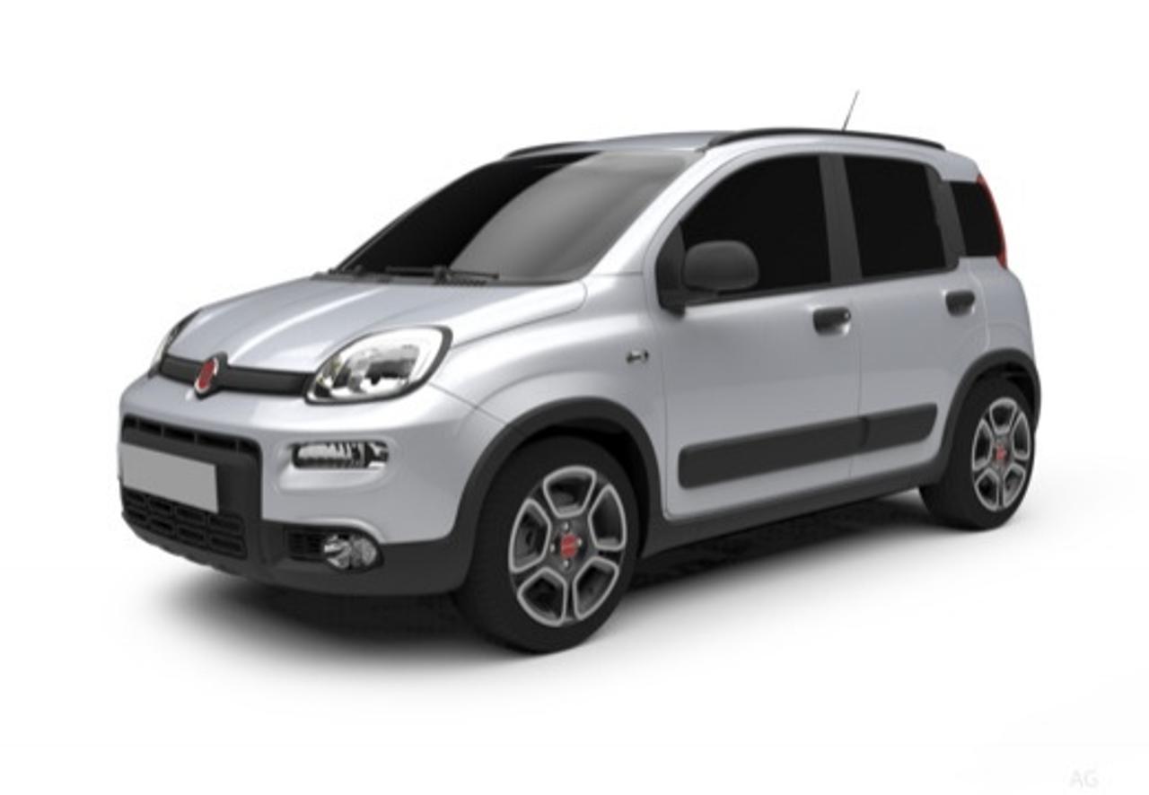 Fiat Fiat Panda usata 23