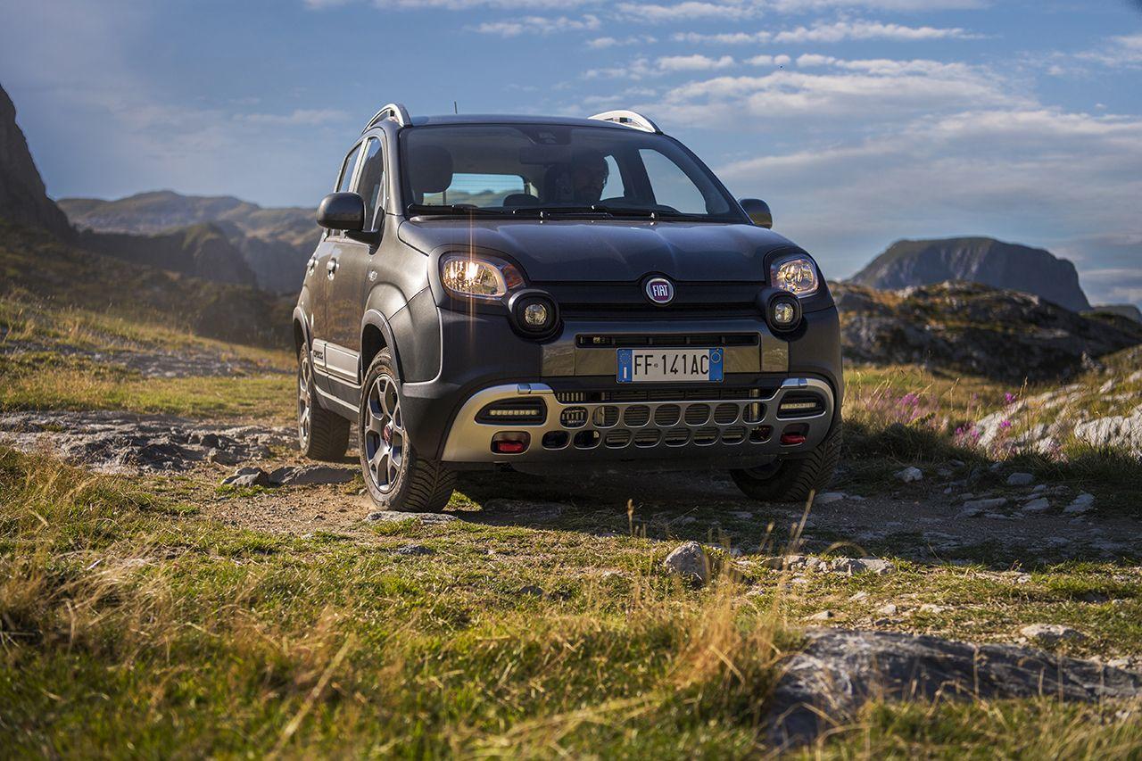Fiat Fiat Panda usata 18