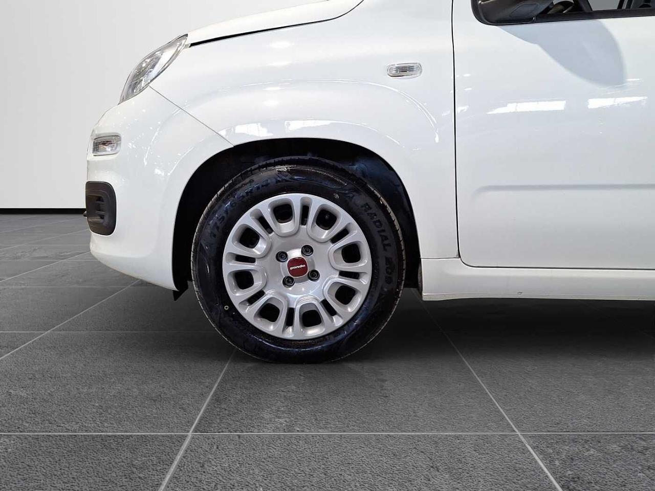 Fiat Fiat Panda usata 10