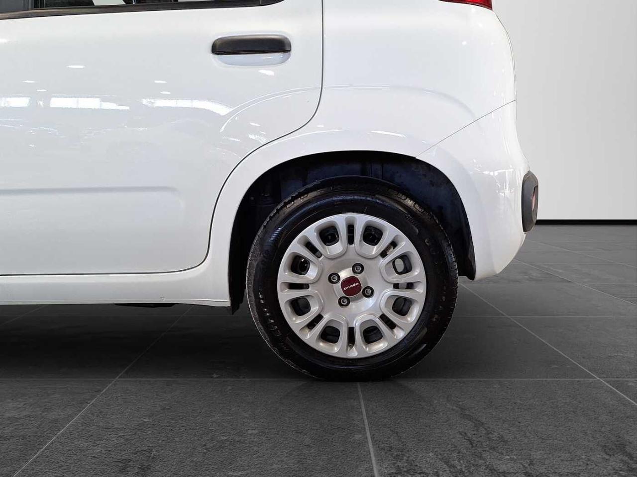 Fiat Fiat Panda usata 12