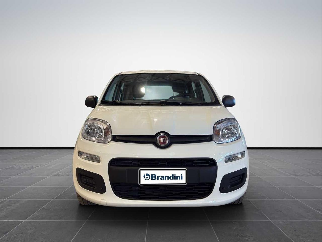 Fiat Fiat Panda usata 11