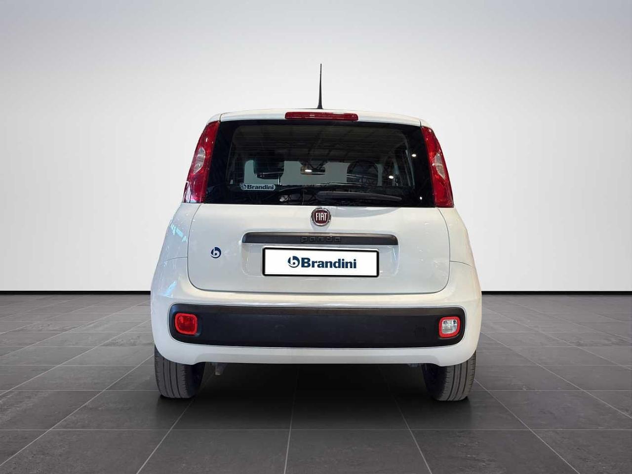 Fiat Fiat Panda usata 18