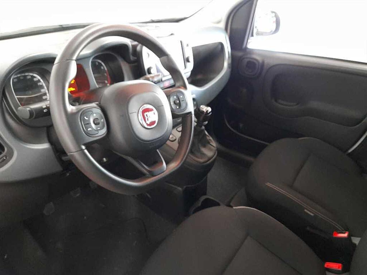 Fiat Fiat Panda usata 2