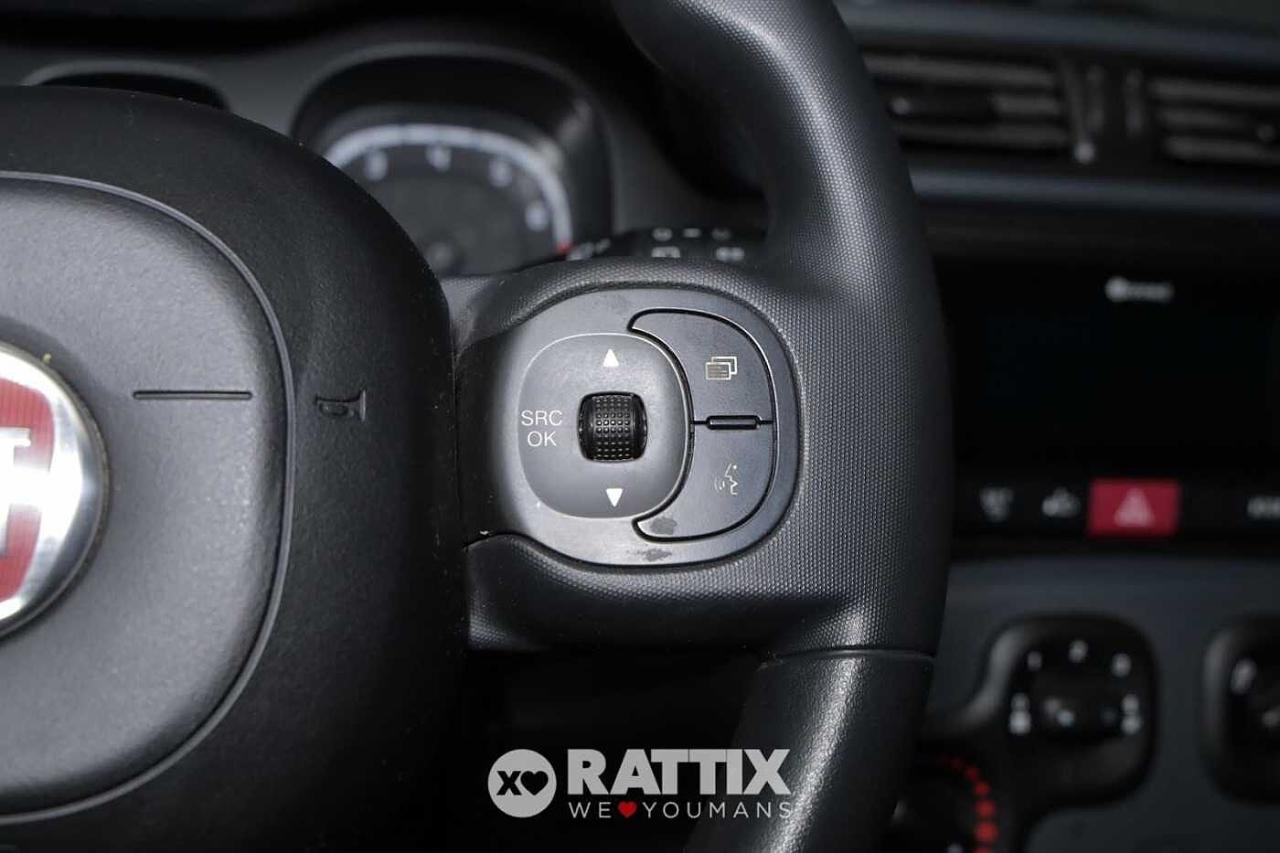 Fiat Fiat Panda usata 2
