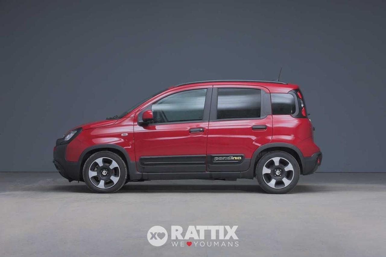 Fiat Fiat Panda usata 11