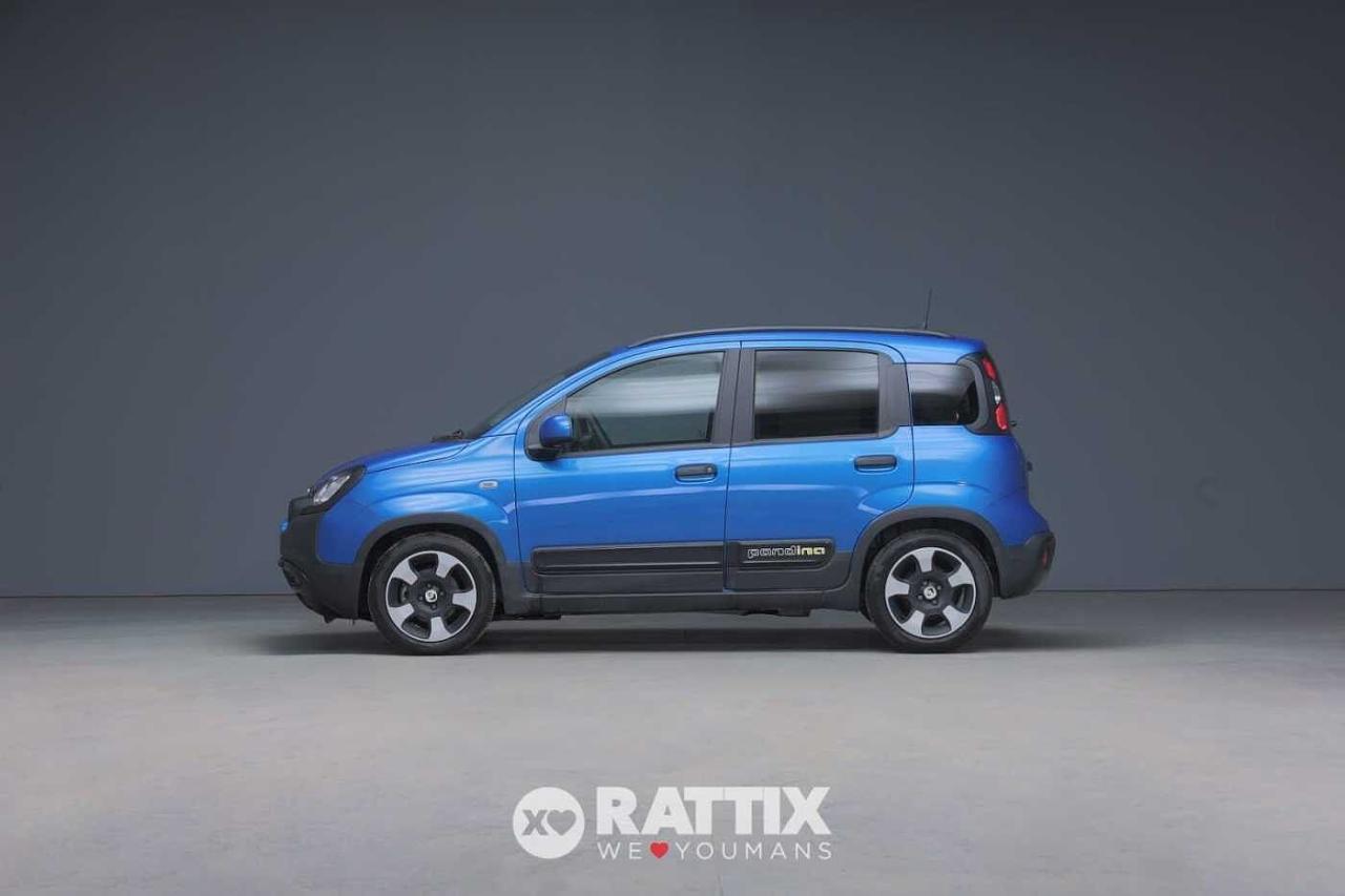 Fiat Fiat Panda usata 11