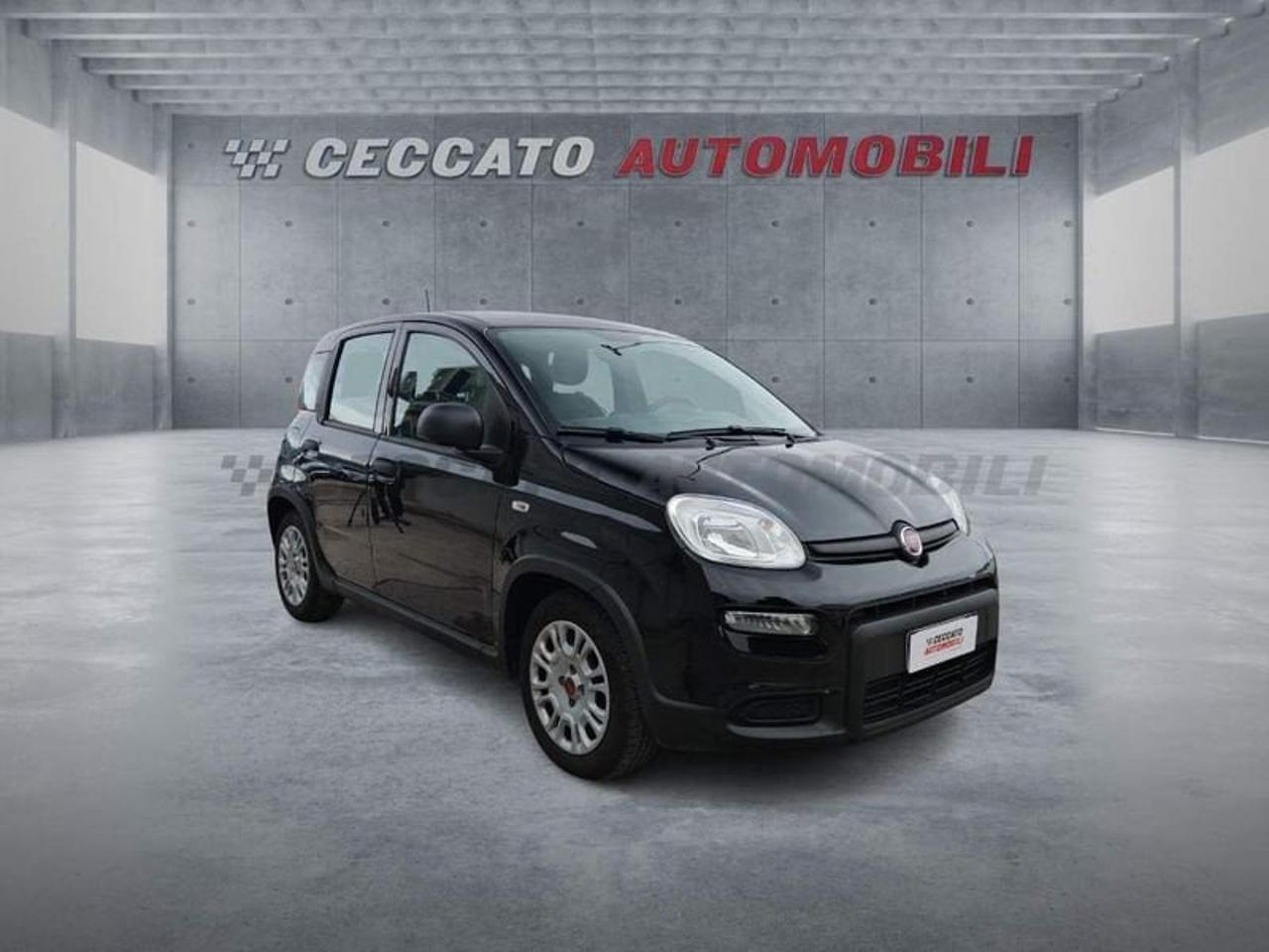 Fiat Fiat Panda usata 7