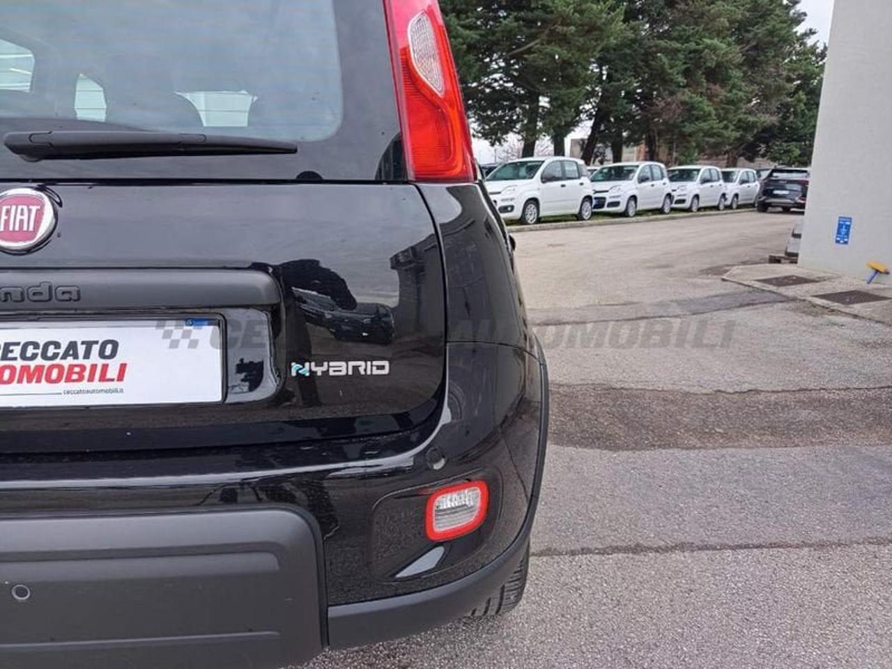 Fiat Fiat Panda usata 10