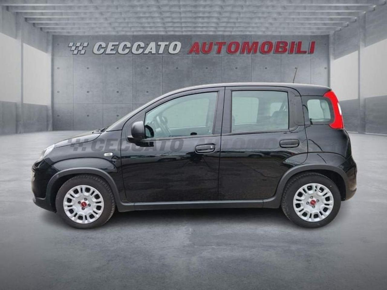 Fiat Fiat Panda usata 11