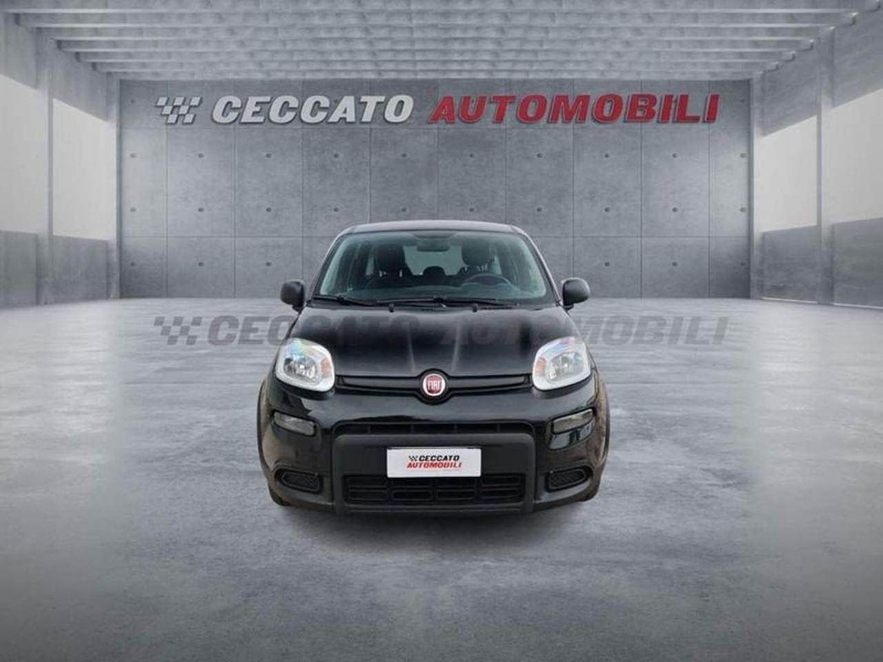 Fiat Fiat Panda usata 18