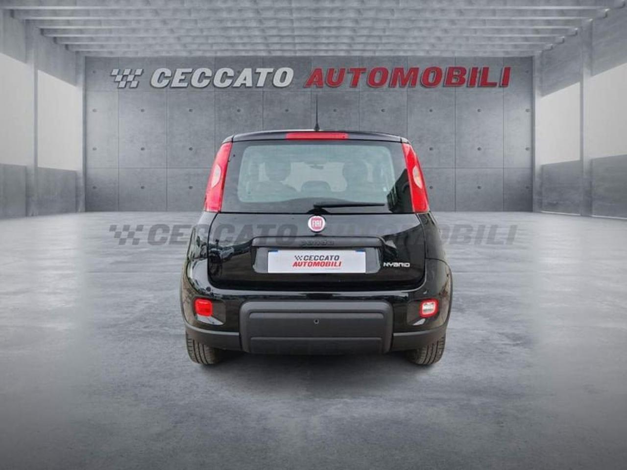 Fiat Fiat Panda usata 19