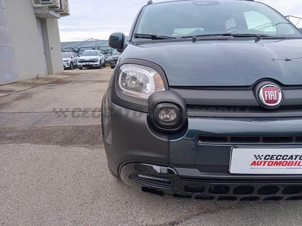 Fiat Fiat Panda usata 9