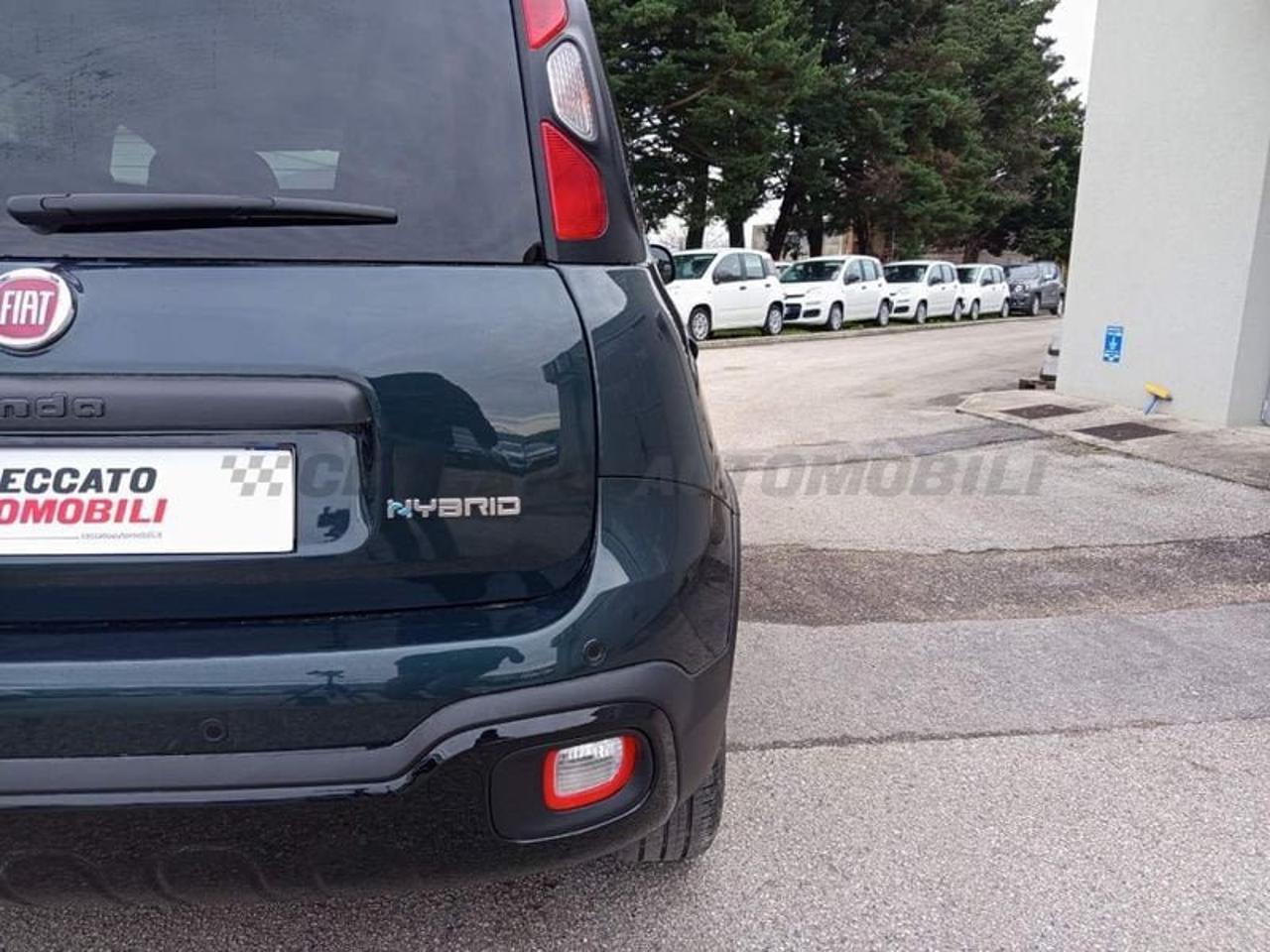 Fiat Fiat Panda usata 10