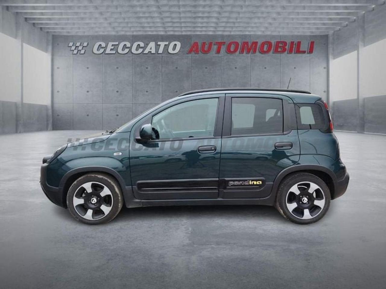 Fiat Fiat Panda usata 11