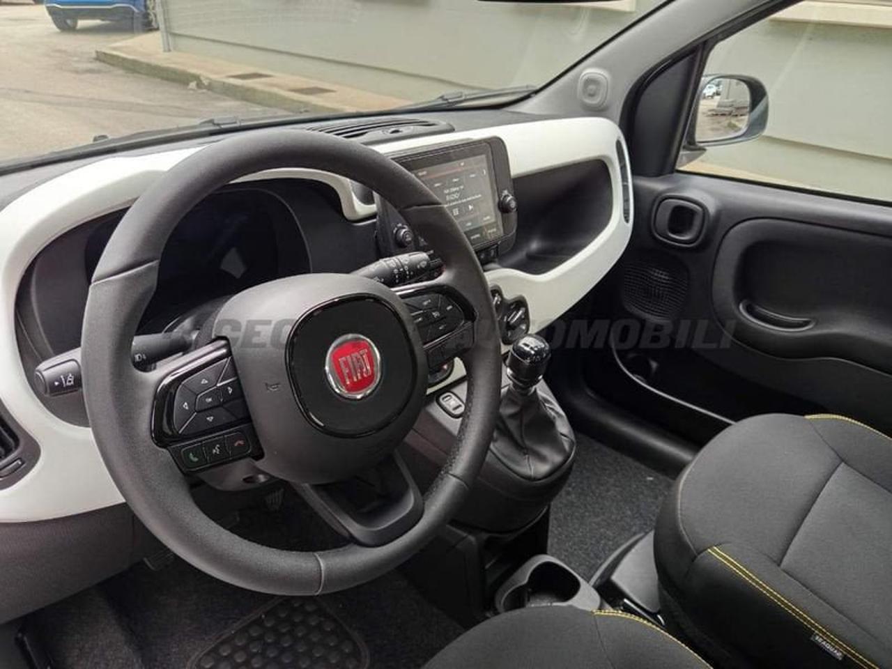 Fiat Fiat Panda usata 12