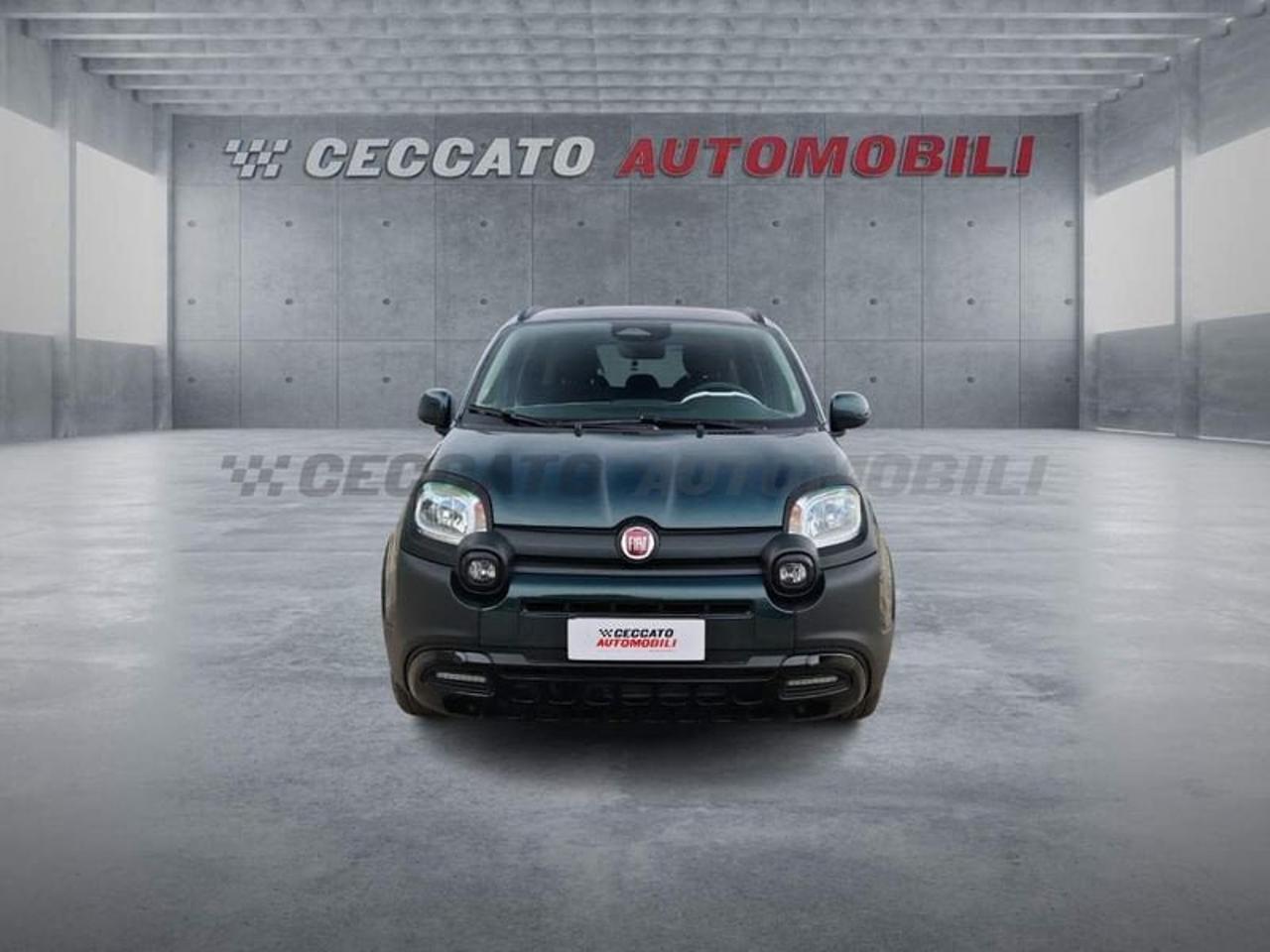 Fiat Fiat Panda usata 18