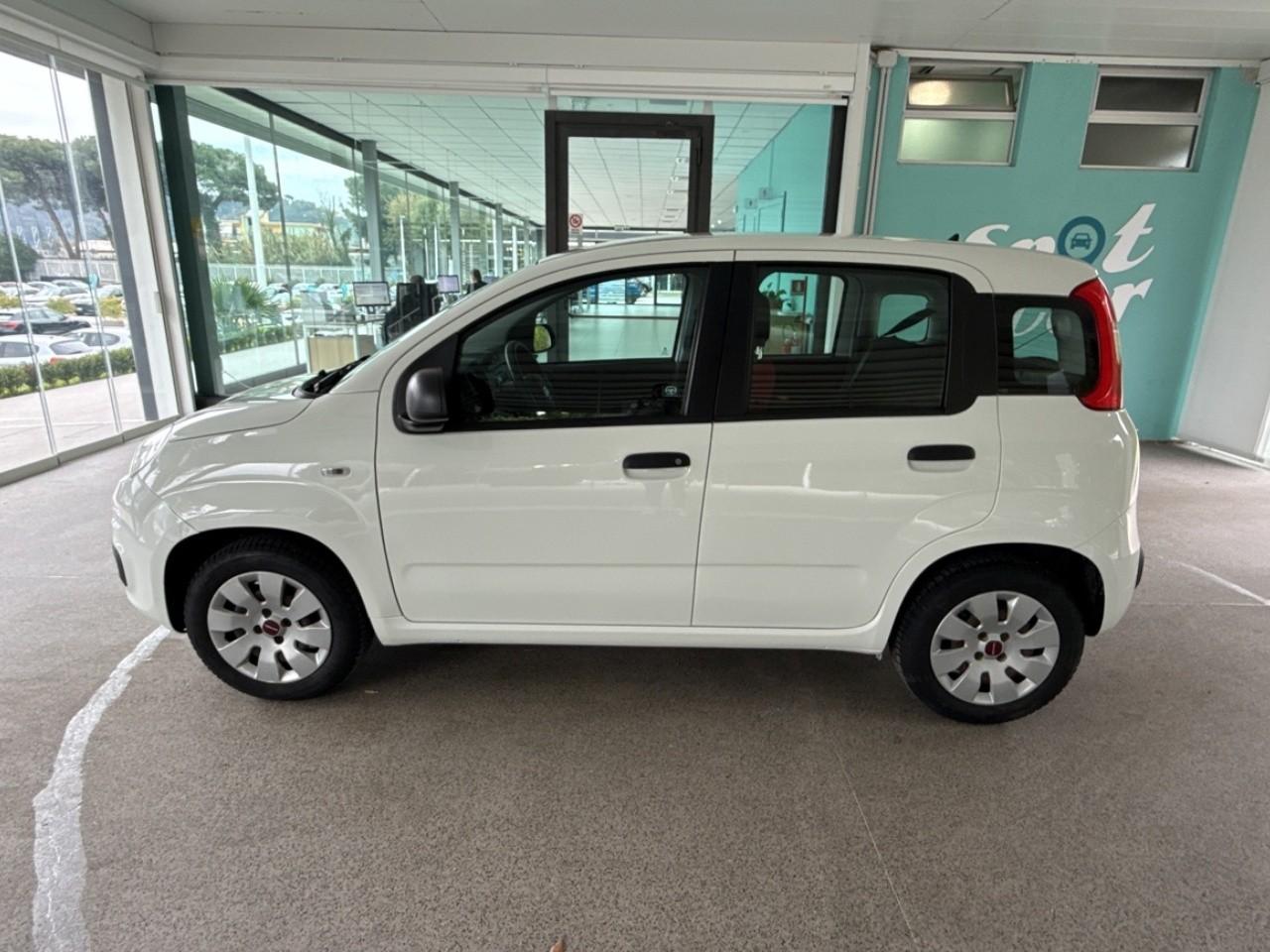 Fiat Fiat Panda usata 11