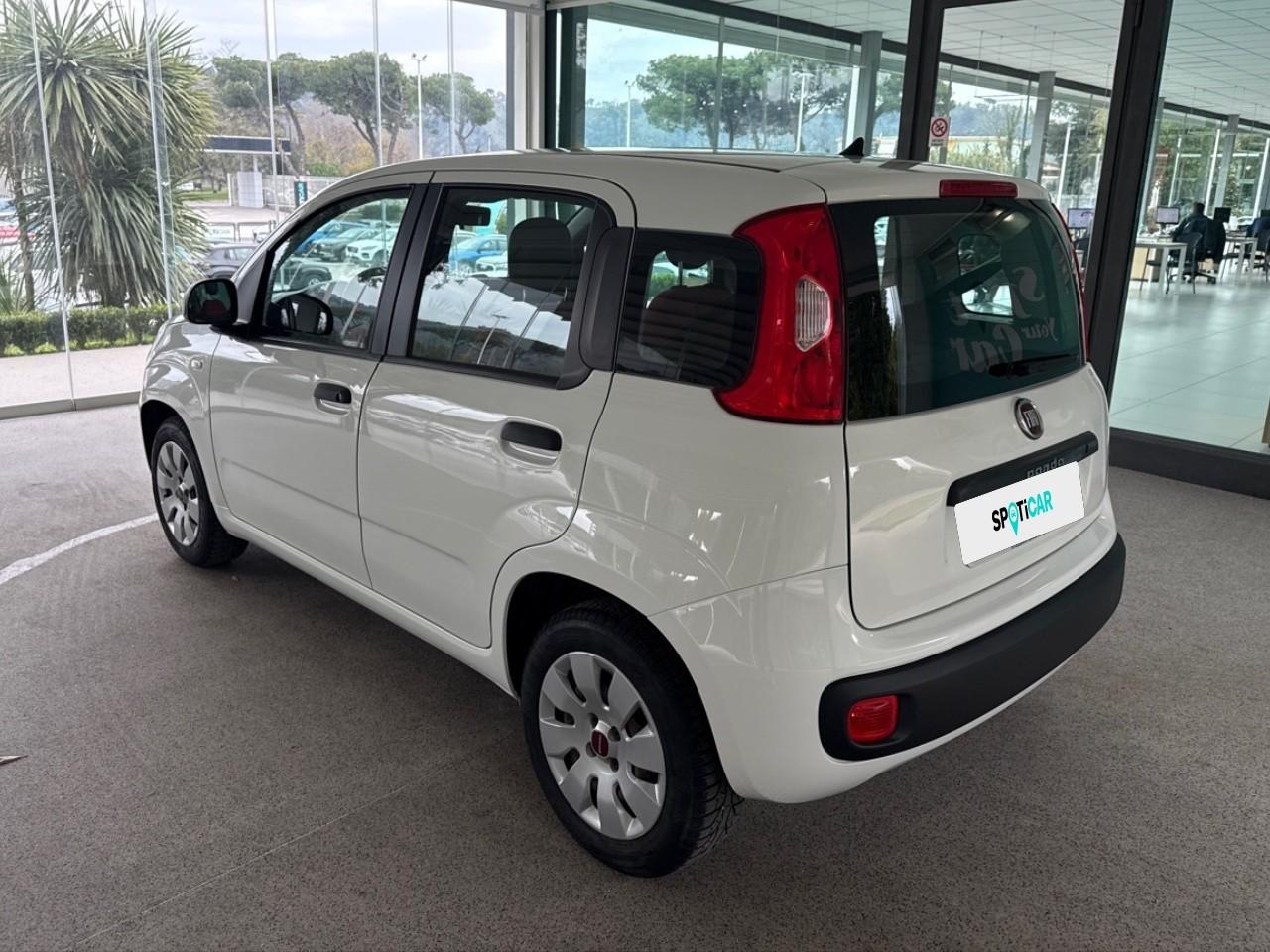 Fiat Fiat Panda usata 14