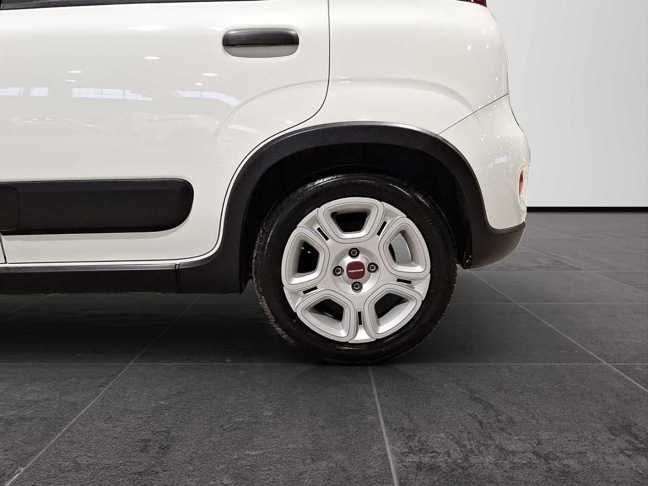 Fiat Fiat Panda usata 12