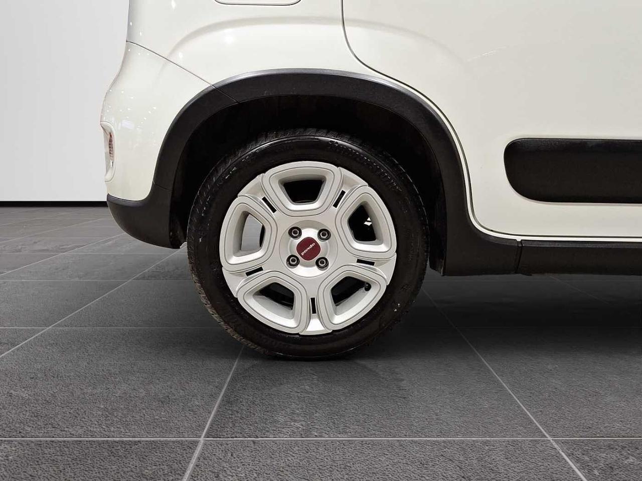 Fiat Fiat Panda usata 13