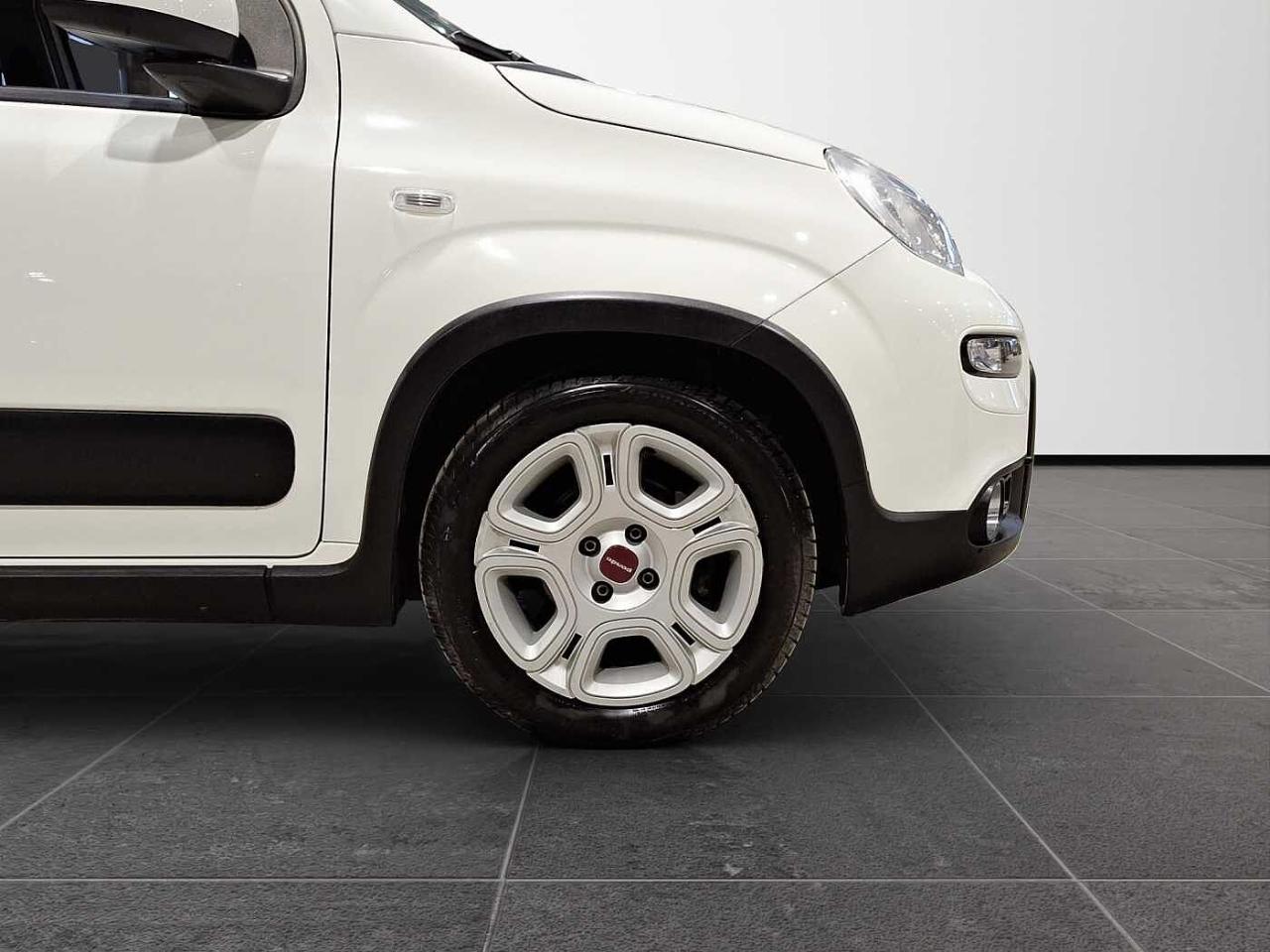Fiat Fiat Panda usata 14