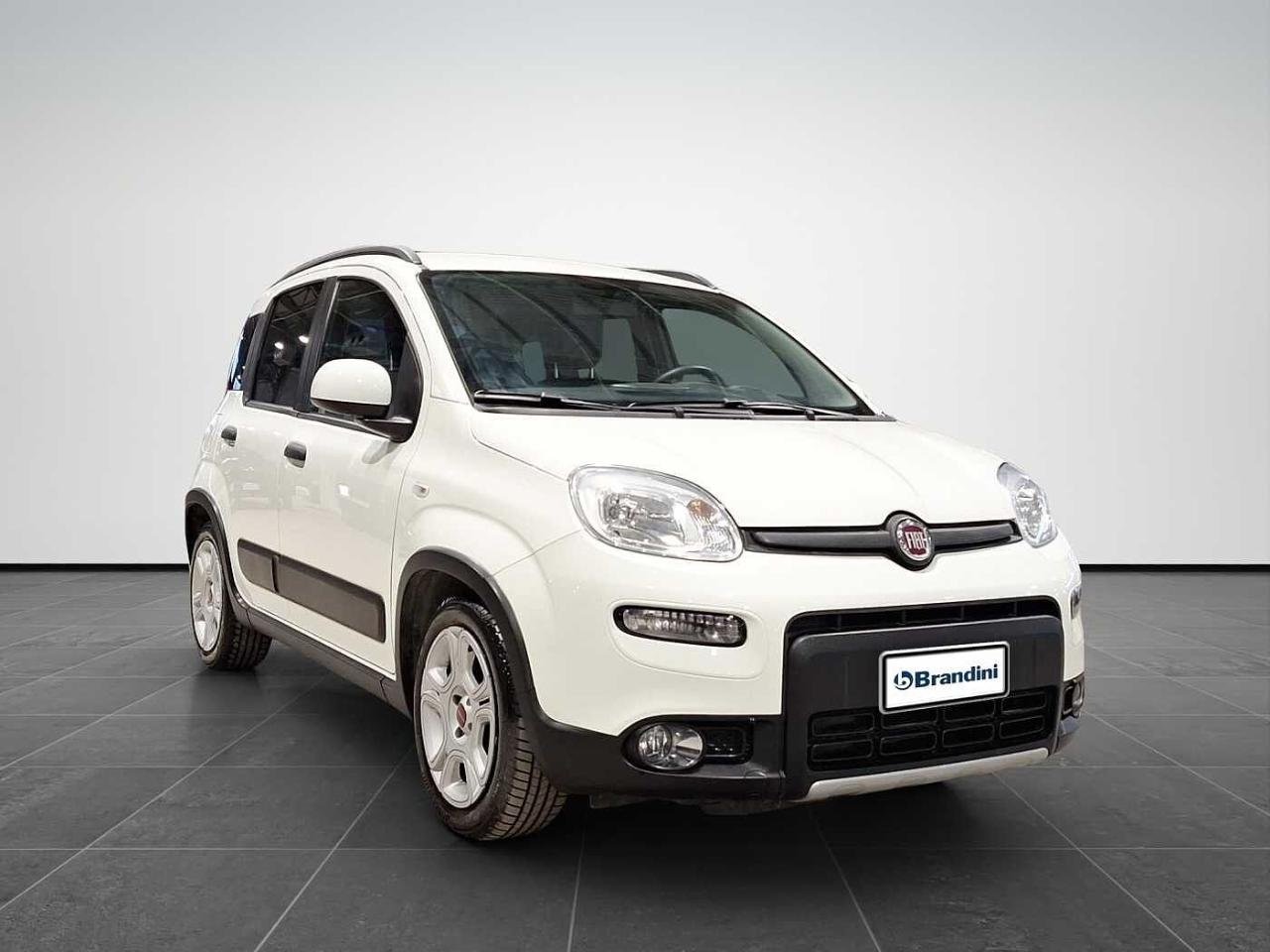 Fiat Fiat Panda usata 19