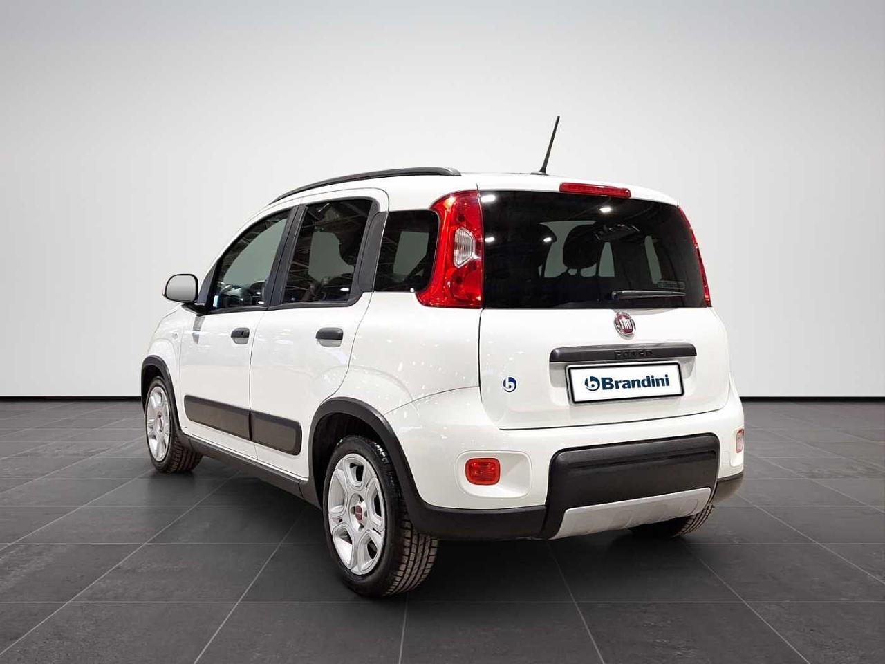 Fiat Fiat Panda usata 20