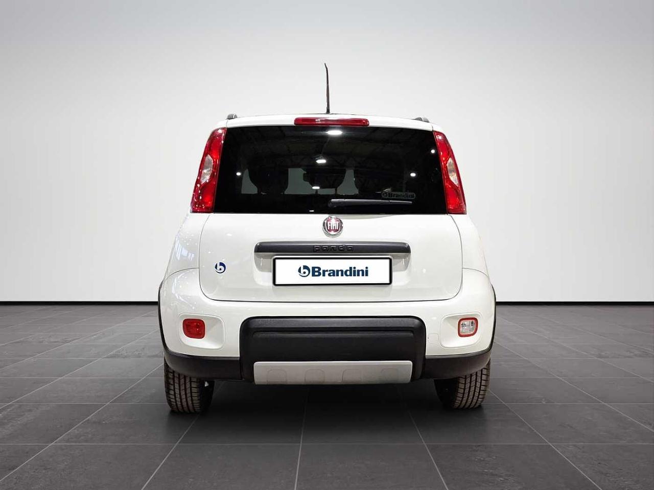 Fiat Fiat Panda usata 21