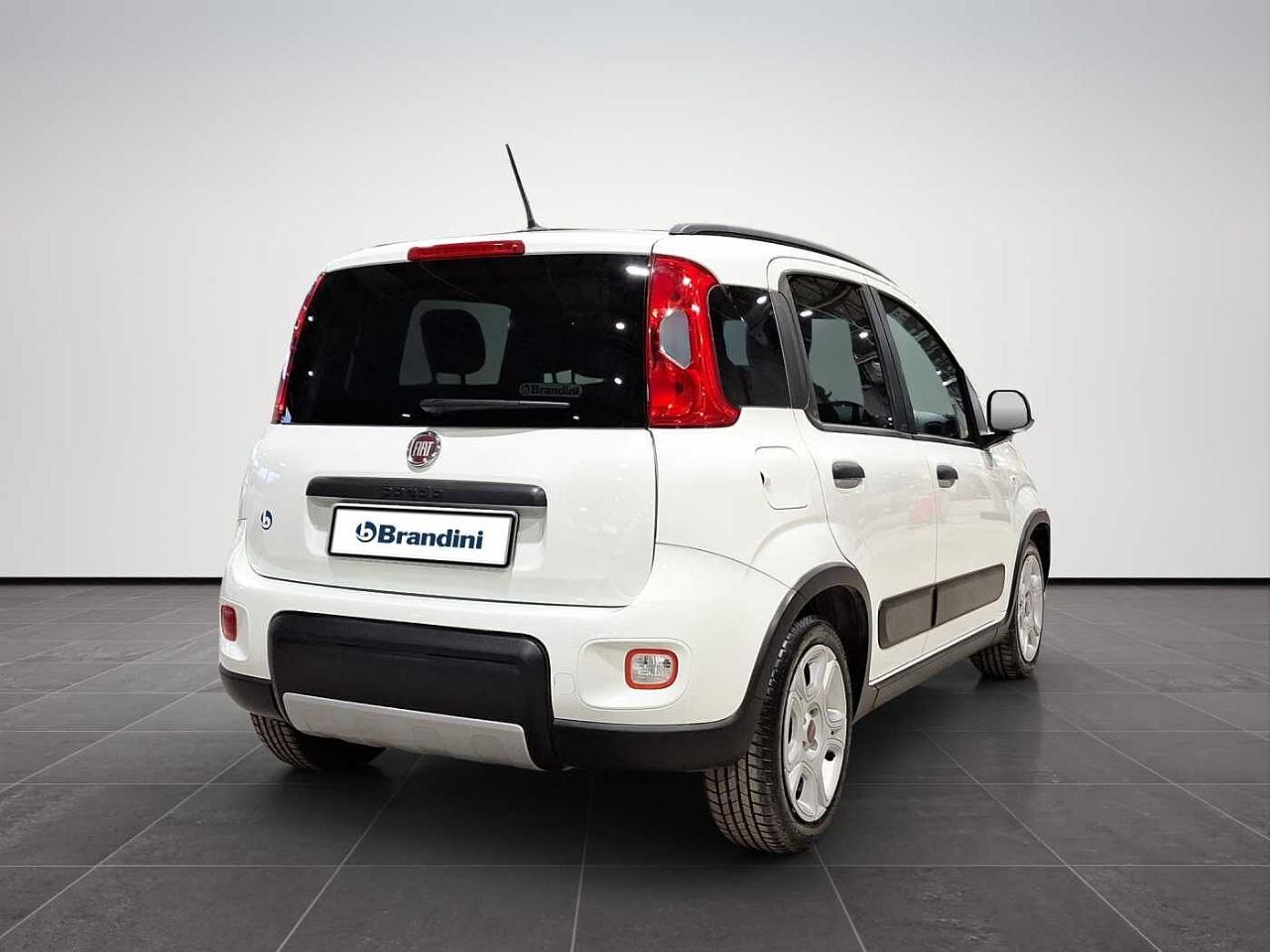 Fiat Fiat Panda usata 22