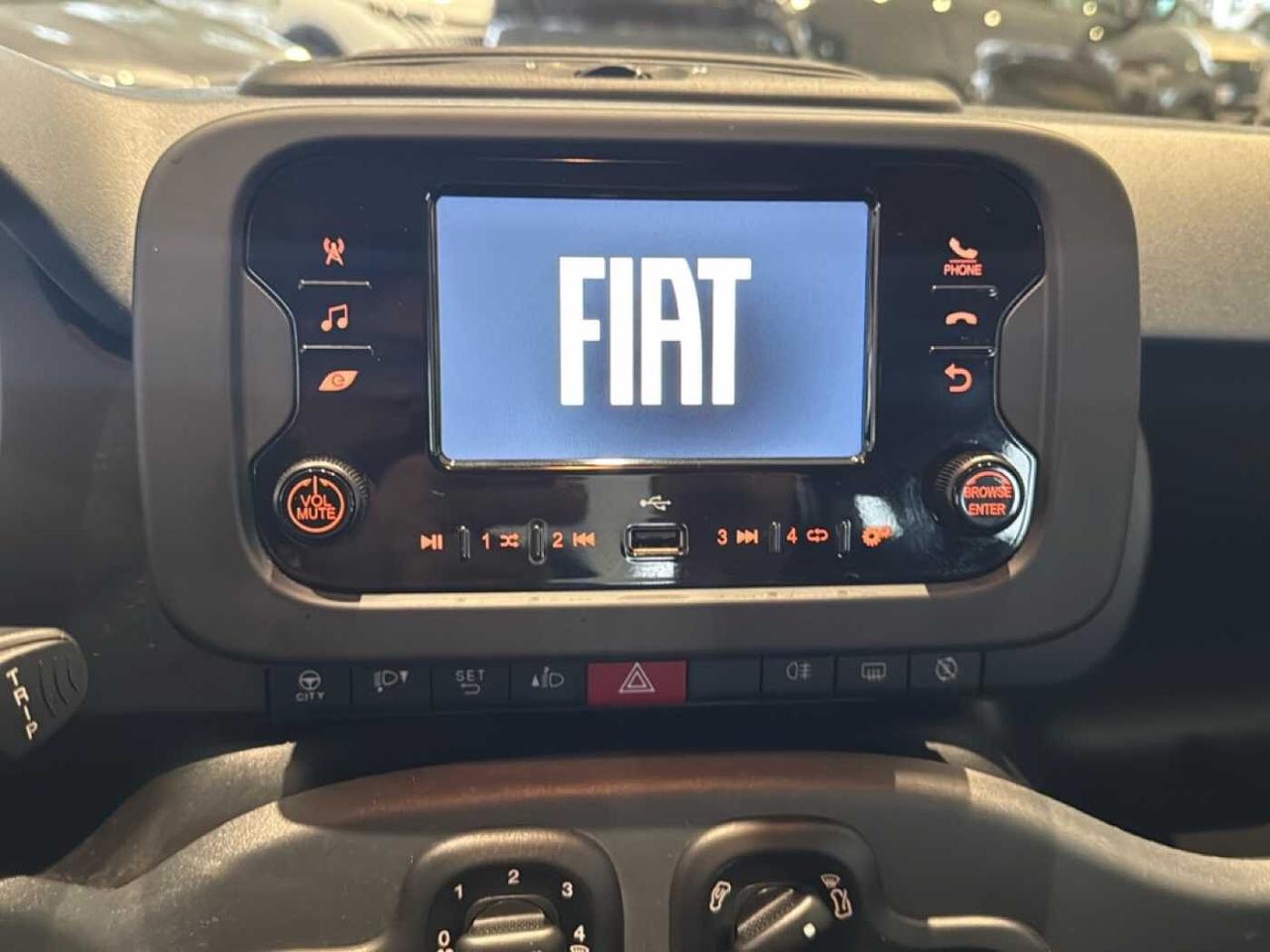 Fiat Fiat Panda usata 6